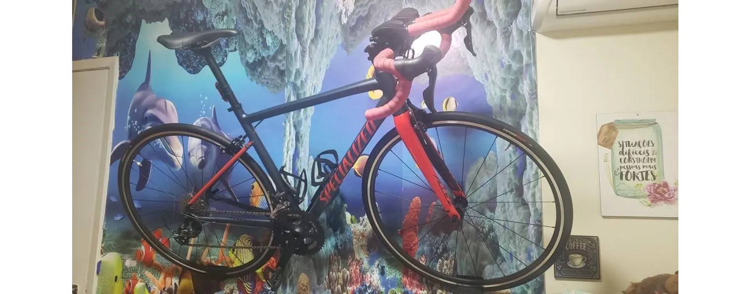 2019 specialized allez elite clearance